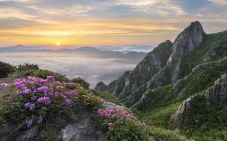 Hà Nội - Hàn Quốc