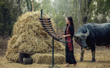 Siemreap - Pattaya - Bangkok 