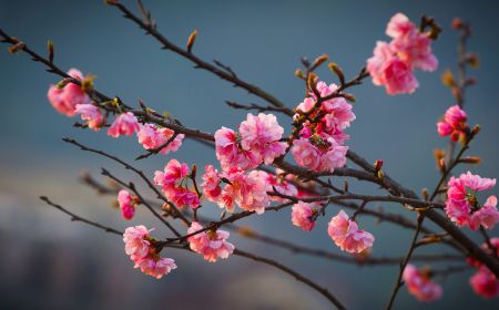 Hà Nội - Sapa - Chinh Phục Nóc Nhà Đông Dương Fansipan- Lào Cai