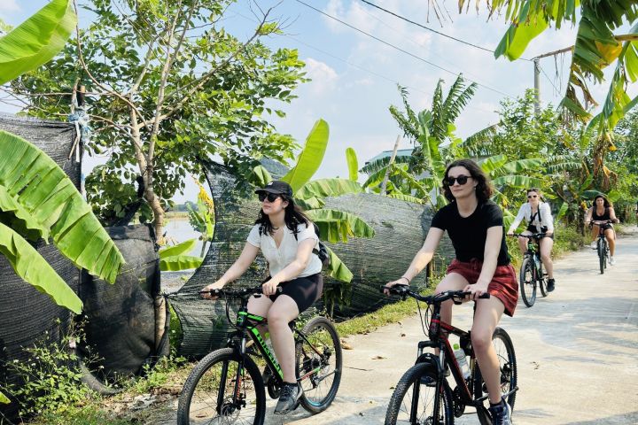 Ninh Binh Hoa Lu - Trang An - Full-Day Tour With Limousine Bus ( 17 Seats)