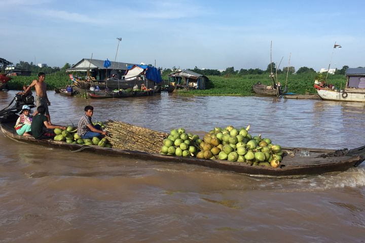 Full Day Mekong Delta  (My Tho-Ben Tre)