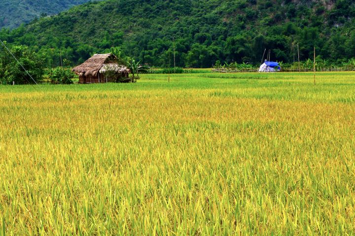 Mai Chau Valley- Pu Luong - 02 Days 01 Night
