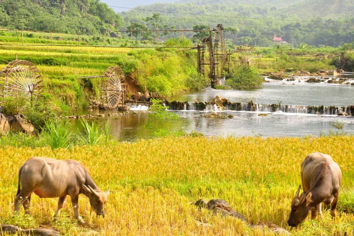 Mai Chau Valley- Pu Luong- 03 Days 02 Nights