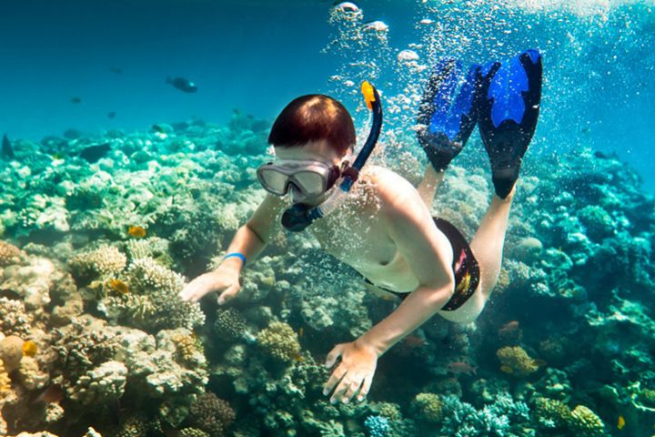 Speed Boat - Cable Cab Full Day Tour With Buffet